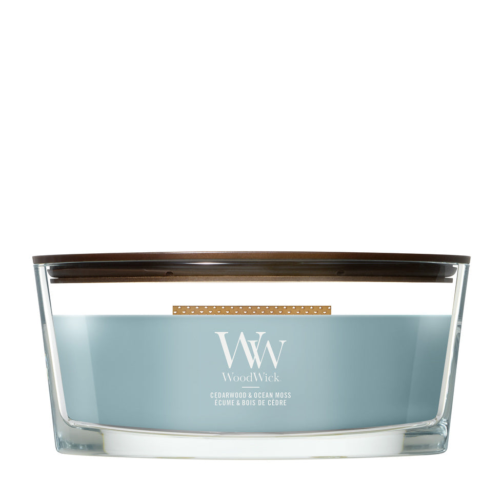 Bougie parfumée Ellipse Cèdre & Mousse Marine